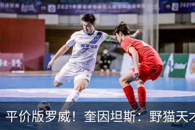 平价版罗威！奎因坦斯：野猫天才内线 存伤病隐患 罚球致敬米切罗
